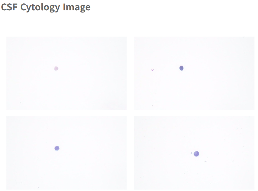 ada8e855daabf796043a133f9c4d0013_1767833471_68.png